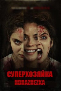 Суперхозяйка (2021)